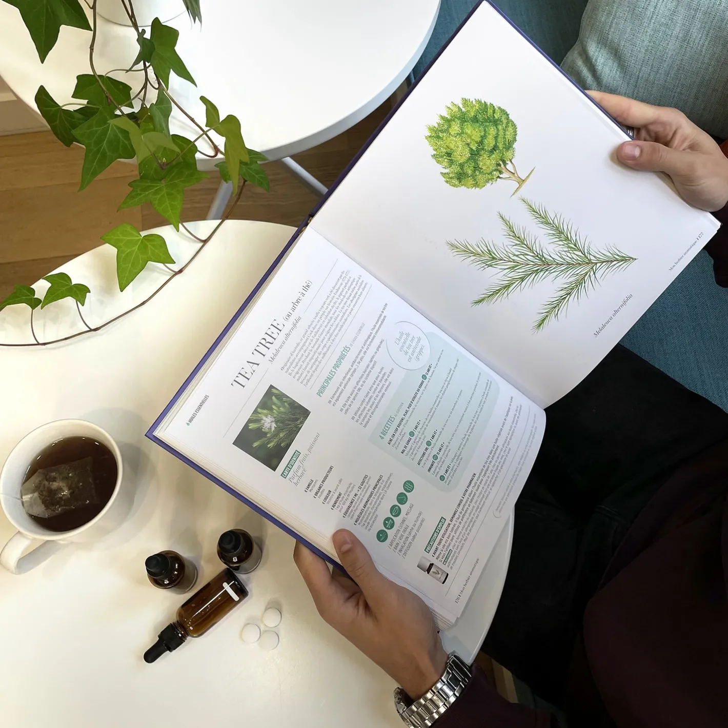 Puressentiel Aromathérapia, le livre des huiles essentielles> Livres