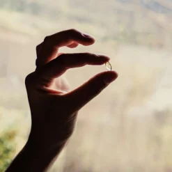 Puressentiel Capsules de Lavande Vraie BIO> Huiles Essentielles