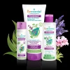 Puressentiel Kit Prévention Poux>Enfant Anti-Poux|Anti-Poux